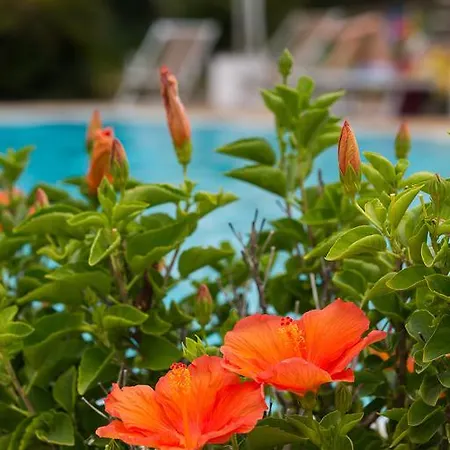 Capo Bianco Aparthotel 4*