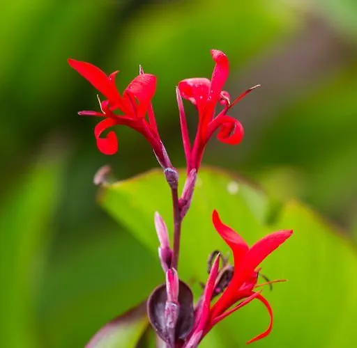 شقة فندقية Capo Bianco بورتو أتْسورّو
