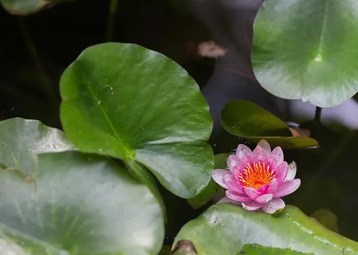 Capo Bianco 4* بورتو أتْسورّو